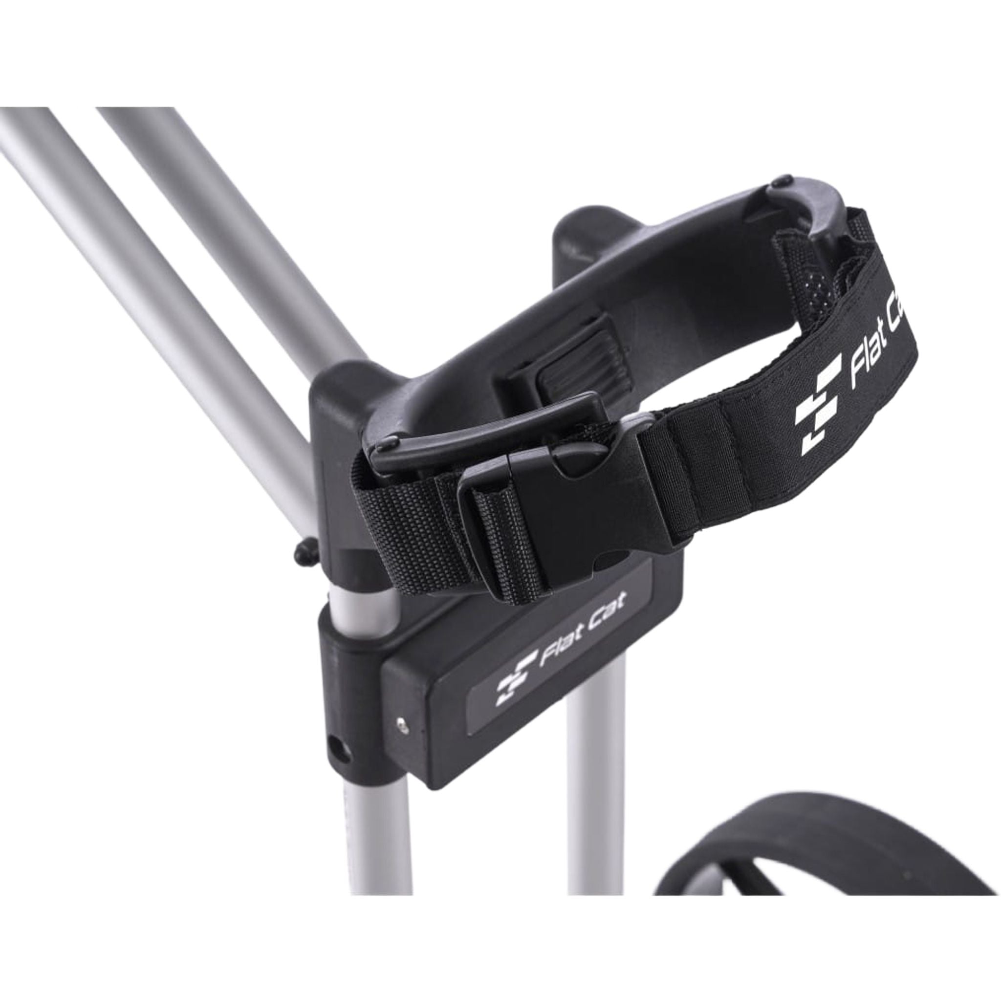 Cinghia per gatti piatti Flat Cat