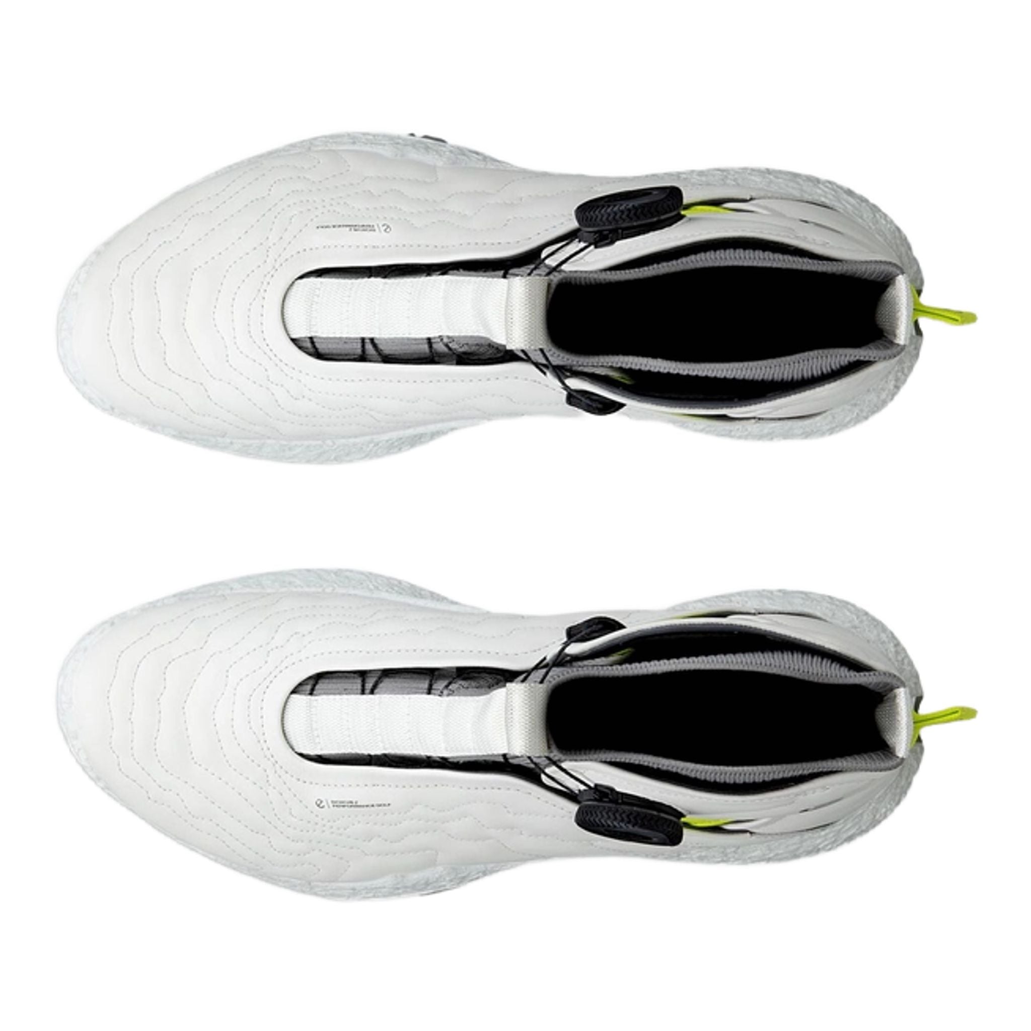 Ecco Biom H5 Boa scarpe da golf da uomo