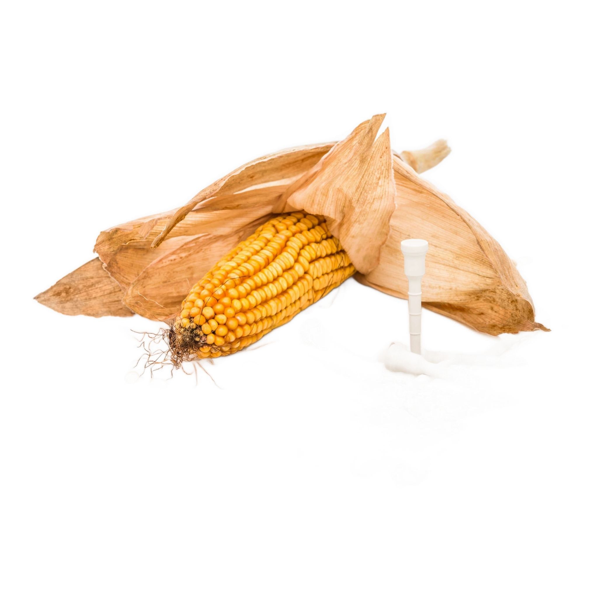 Lignum Eco 72mm Star [12Tees] Bianco