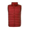 Gilet in piuma Country Club Lite da uomo