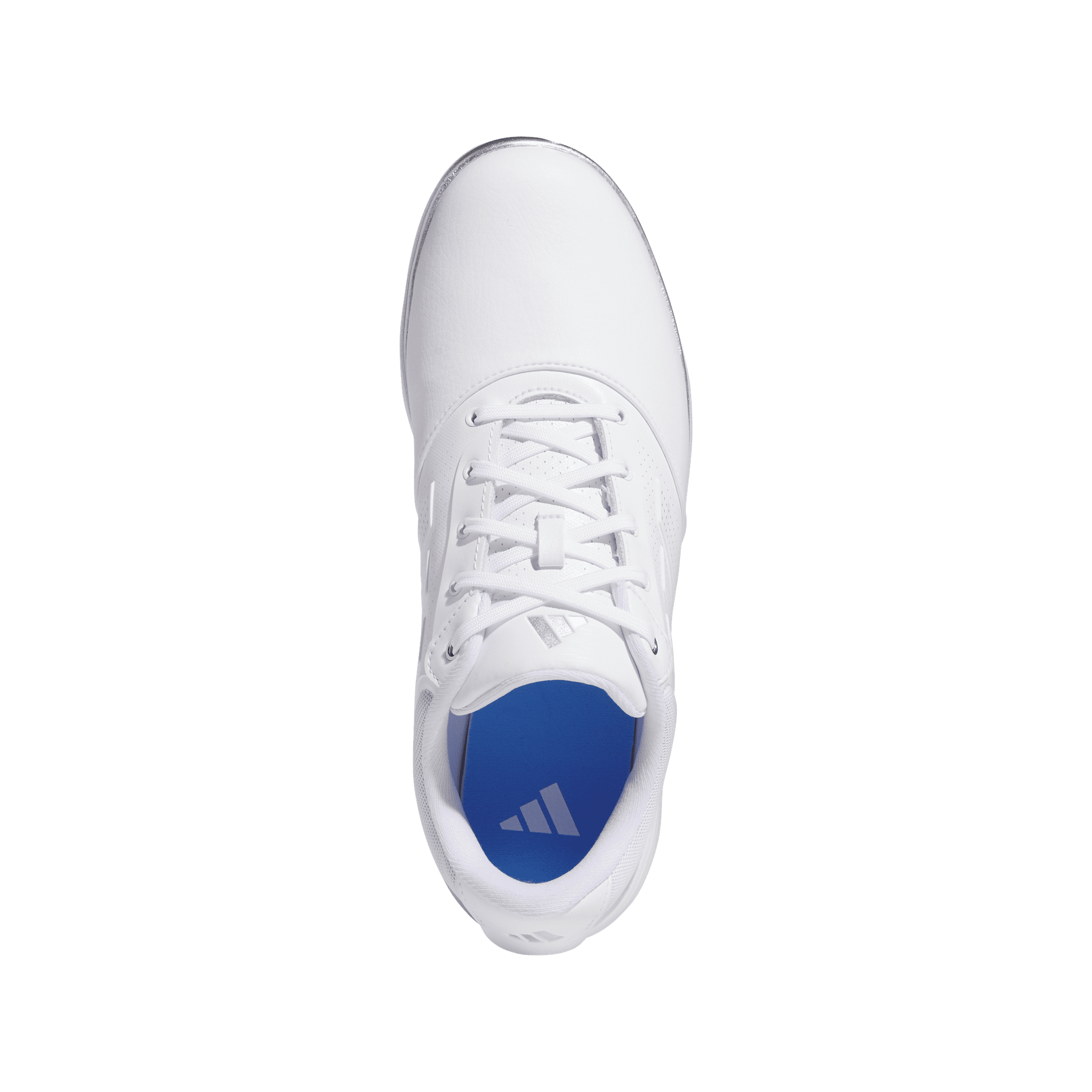 Scarpe da golf Adidas W Alphaflex 24 Traxion da donna