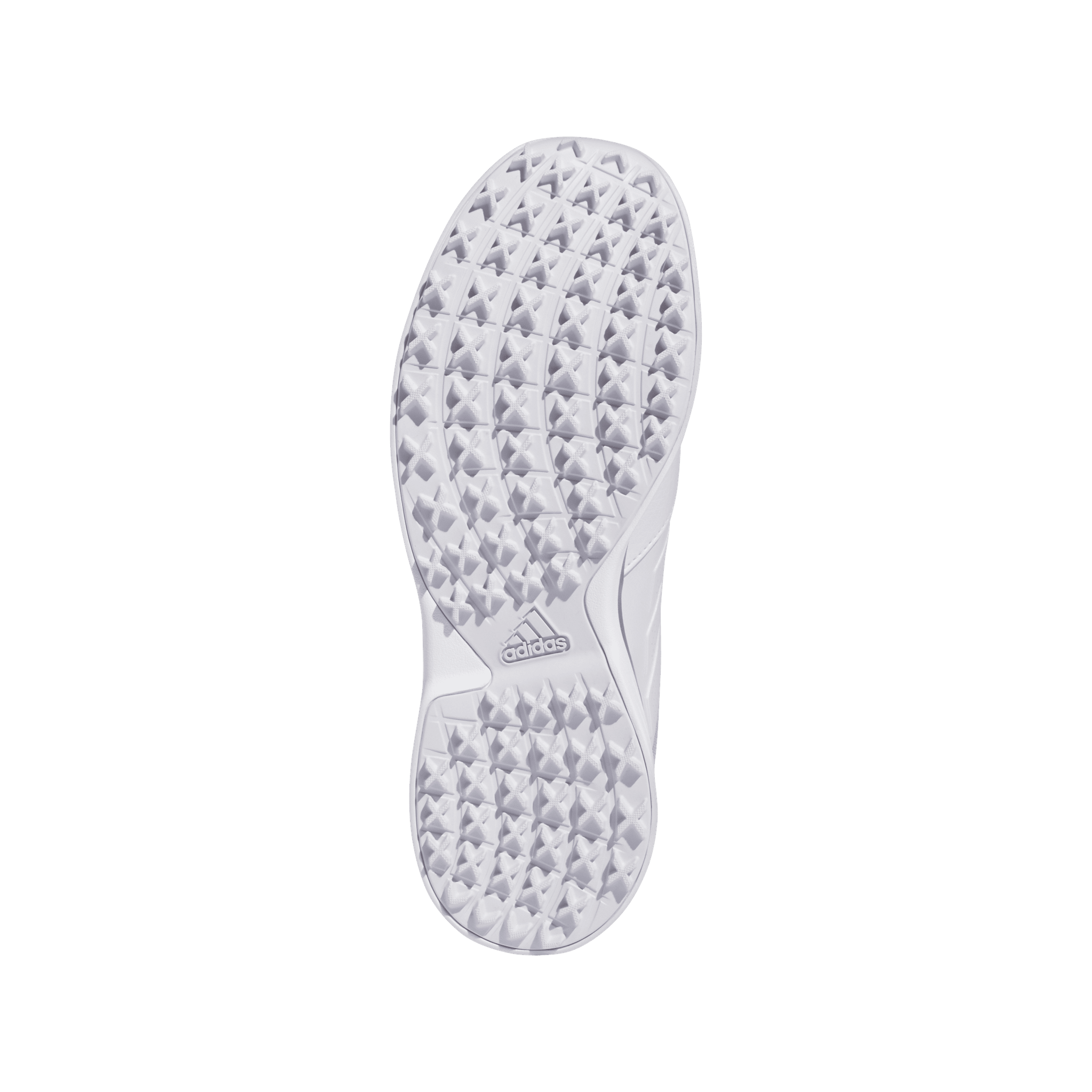 Scarpe da golf Adidas W Alphaflex 24 Traxion da donna