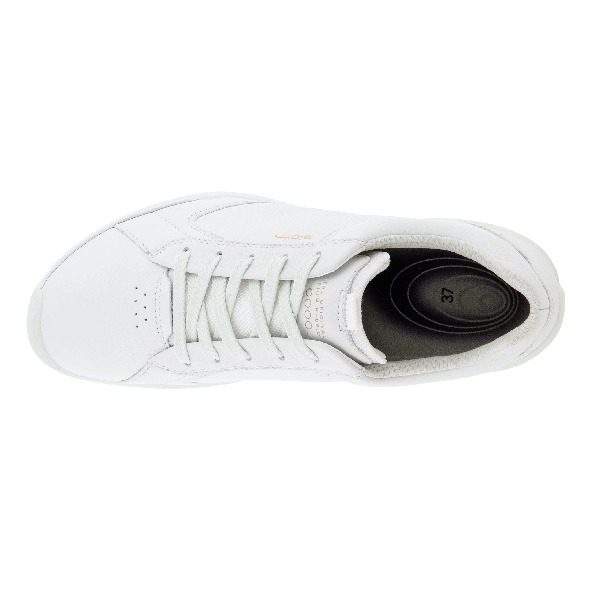 Scarpe da golf ibride Ecco Biom