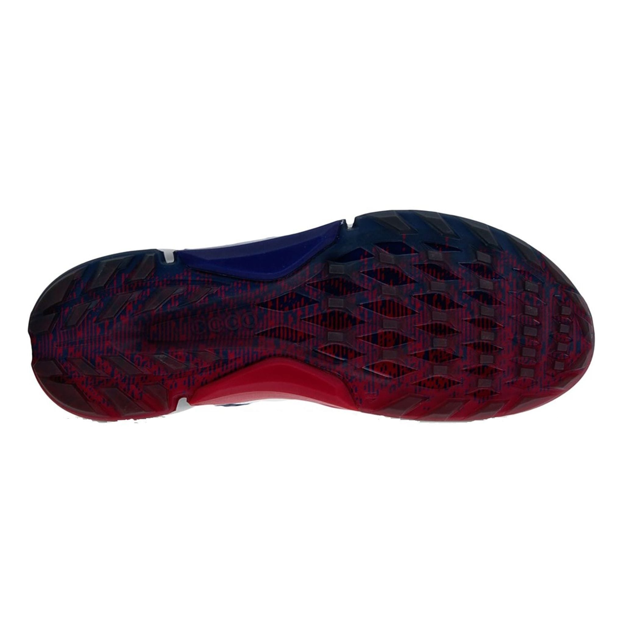 Ecco Biom H4 BOA Scarpe da golf da uomo
