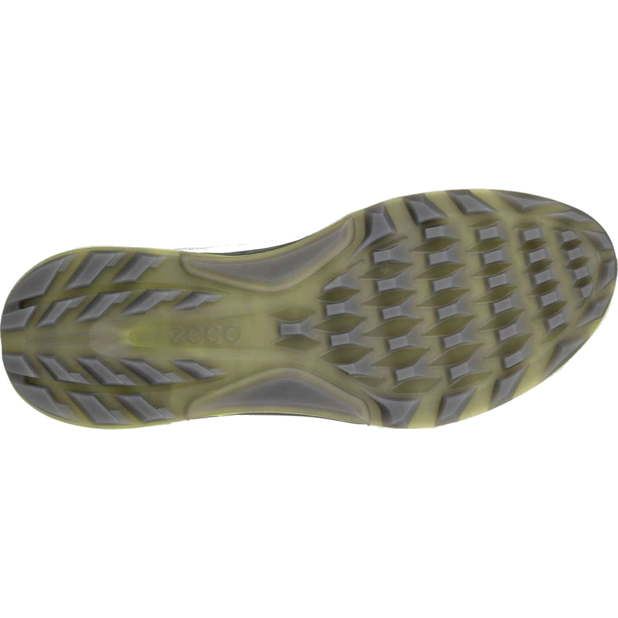 Scarpe da golf Ecco Biom C4 Boa da uomo