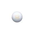Titleist Loge Pro V1