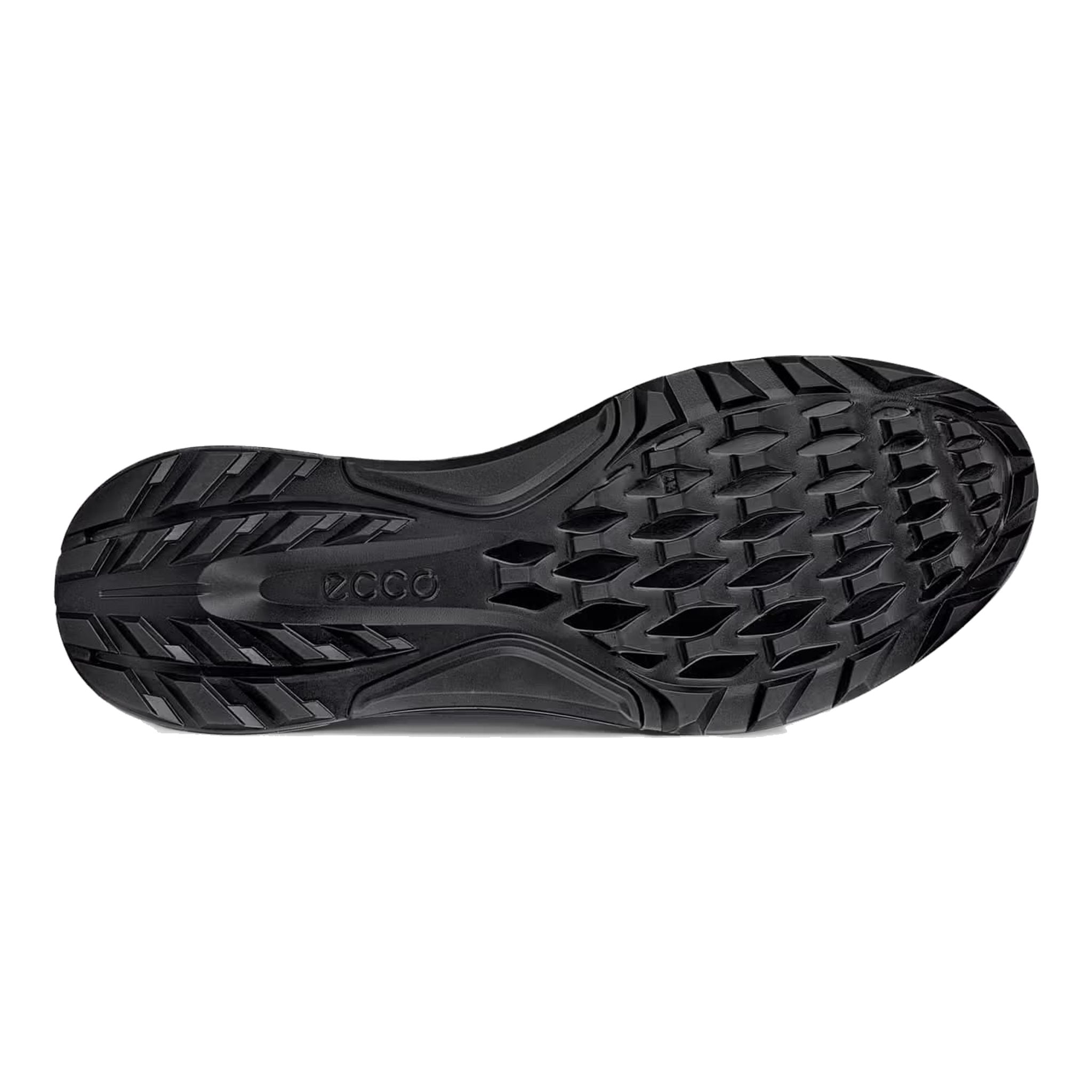 Scarpe da golf Ecco Biom C4 Boa da uomo