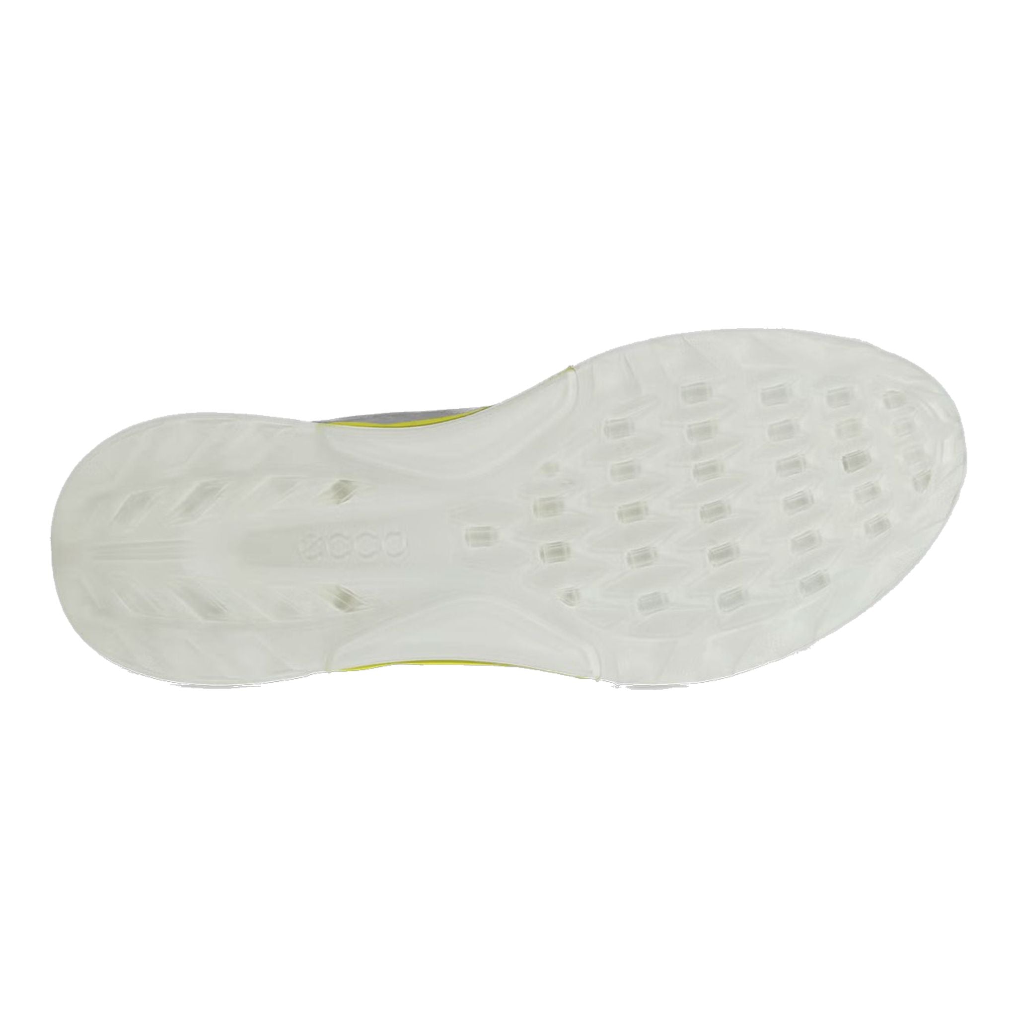 Scarpe da golf da uomo Ecco Biom C4