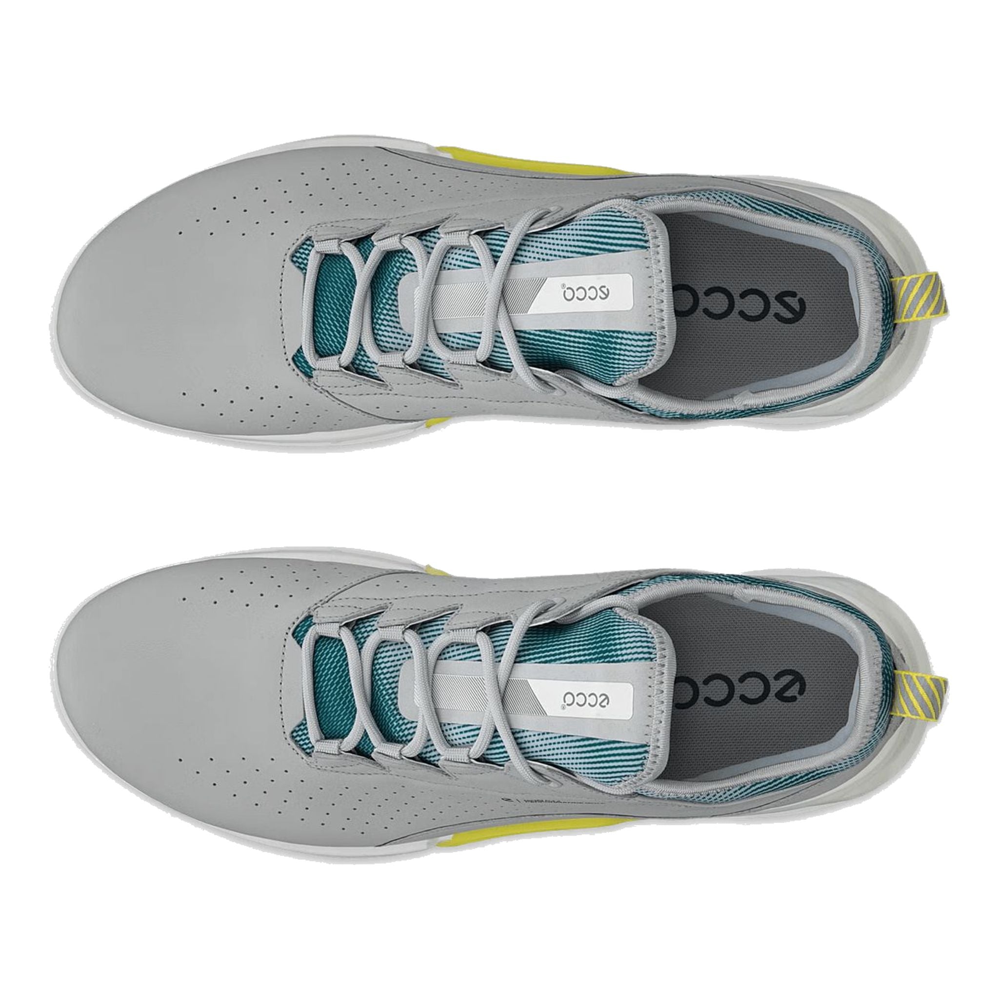 Scarpe da golf da uomo Ecco Biom C4