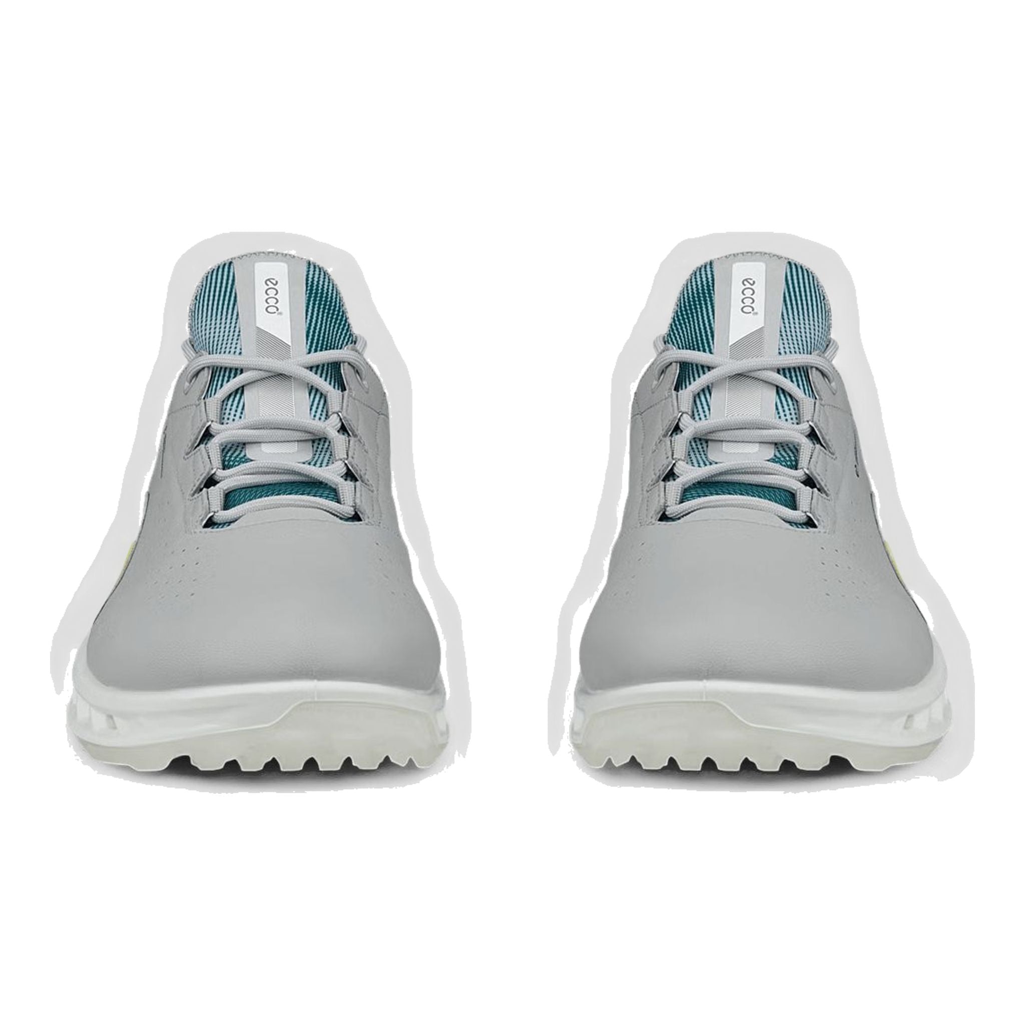 Scarpe da golf da uomo Ecco Biom C4