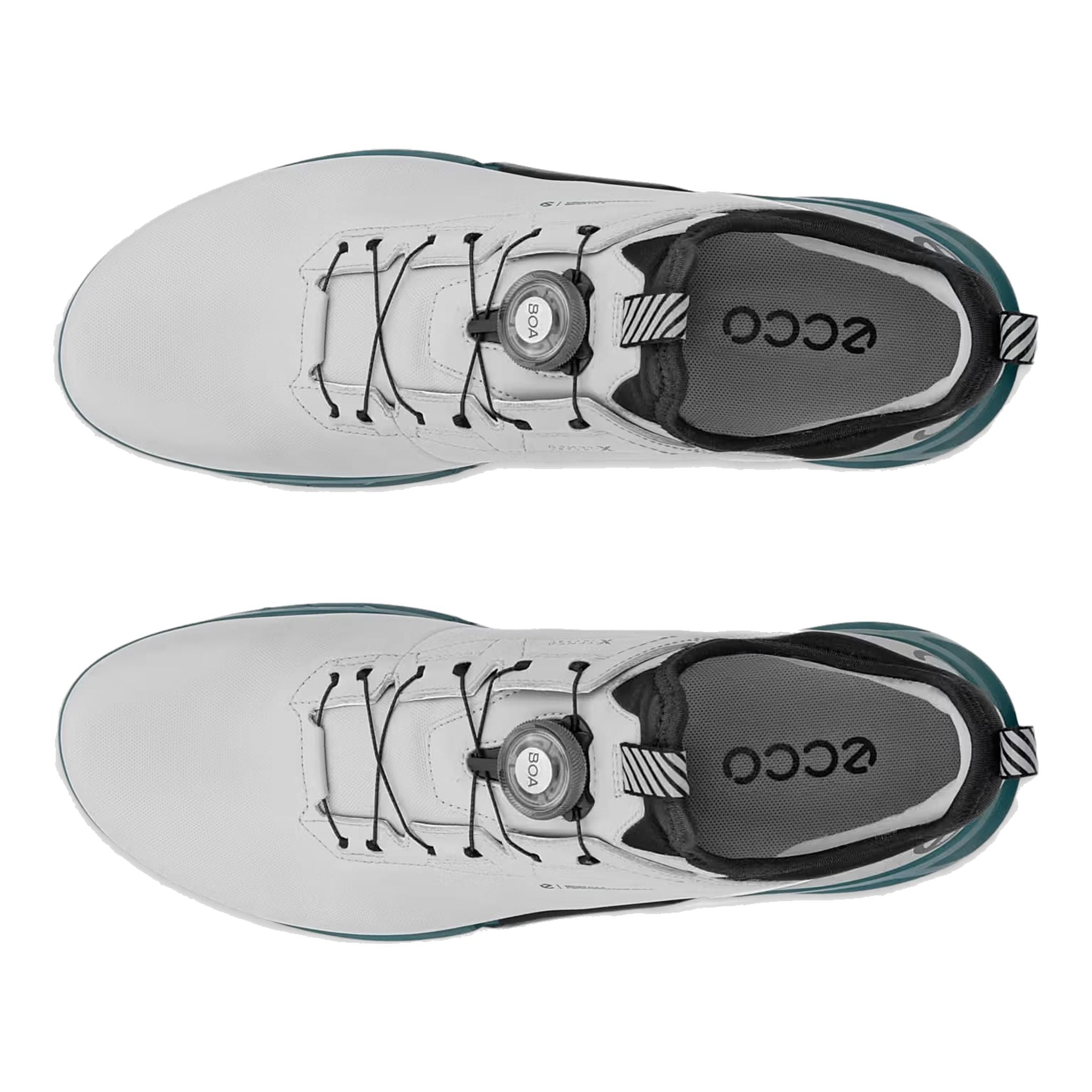 Scarpe da golf Ecco Biom C4 Boa da uomo